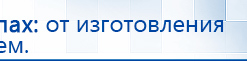 Пояс электрод купить в Находке, Электроды Меркурий купить в Находке, Скэнар официальный сайт - denasvertebra.ru